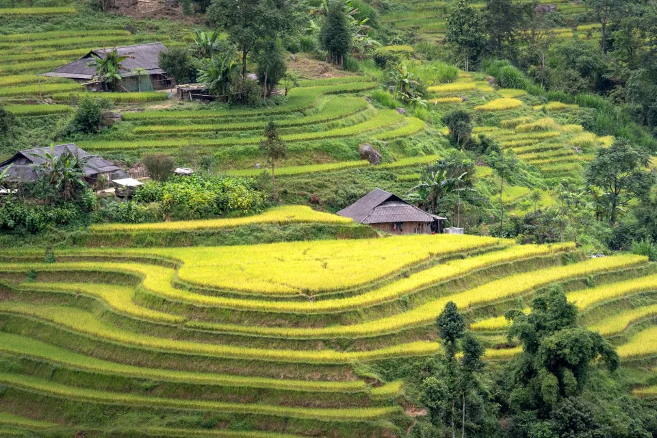 Kho gạo của Lê Trung Hiển